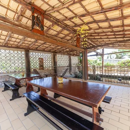 L - Wellness Farm Lagos