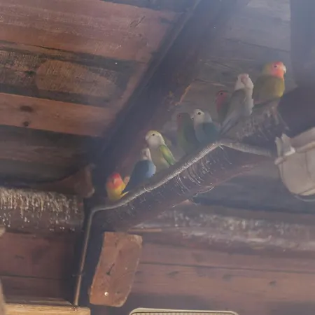 L - Wellness Farm Appartement *