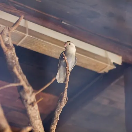 L - Wellness Farm Appartement *