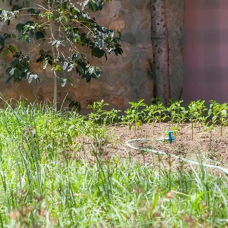 Apartament L - Wellness Farm *