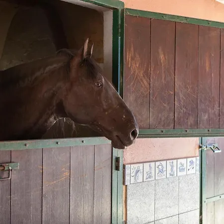 L - Wellness Farm Apartament *