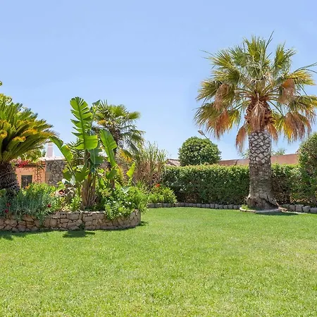 L - Wellness Farm * Lagos