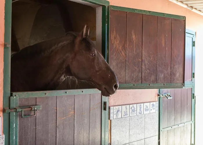 L - Wellness Farm Appartement *